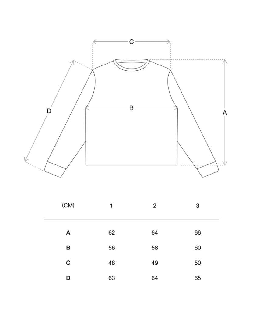 n*a様 完売品 SC SMOOTH L/S TEE SMOKE BLUE si