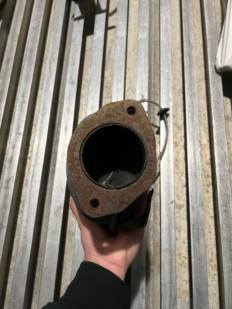 シルビア　触媒