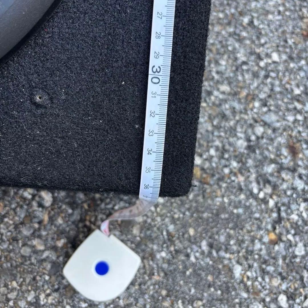 Pioneer Champion series ウーファー