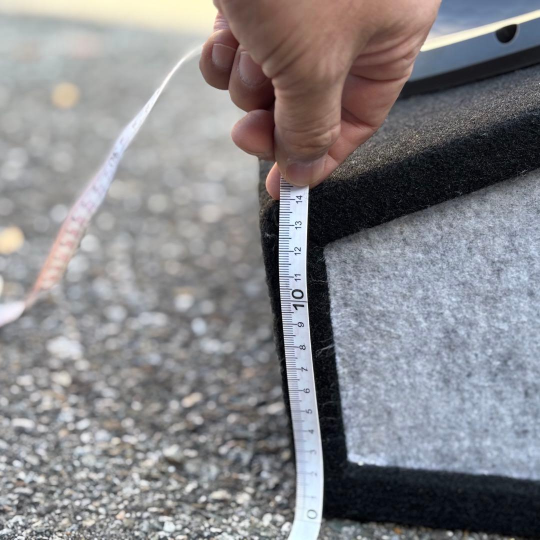 Pioneer Champion series ウーファー