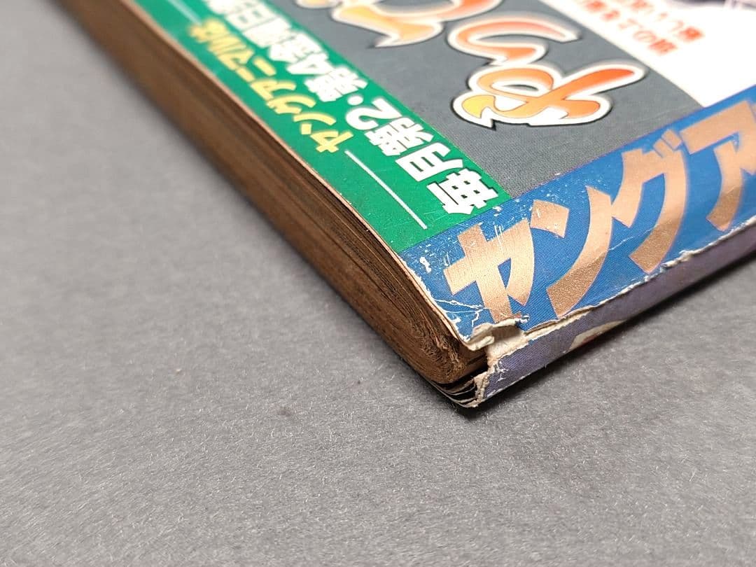 ヤングアニマル1998年1月9日1号ベルセルク巻頭カラー第112話/さとう珠緒