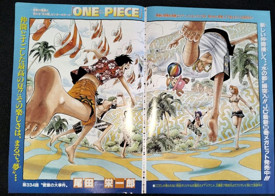 ワンピース　確認用