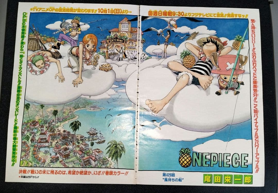 ワンピース　確認用