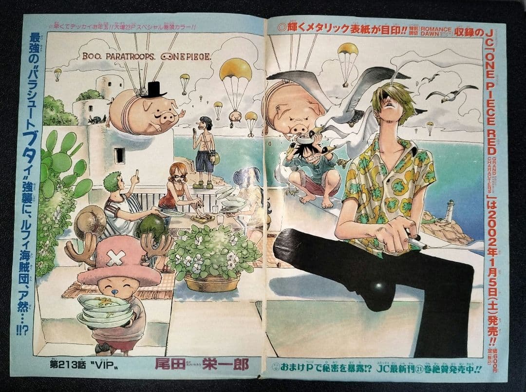 ワンピース　確認用