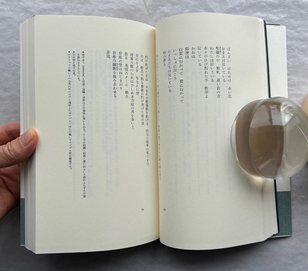 トリスタン・ツァラ『アンチピリン氏はじめて天空冒険ほか』、書肆山田、2001年。