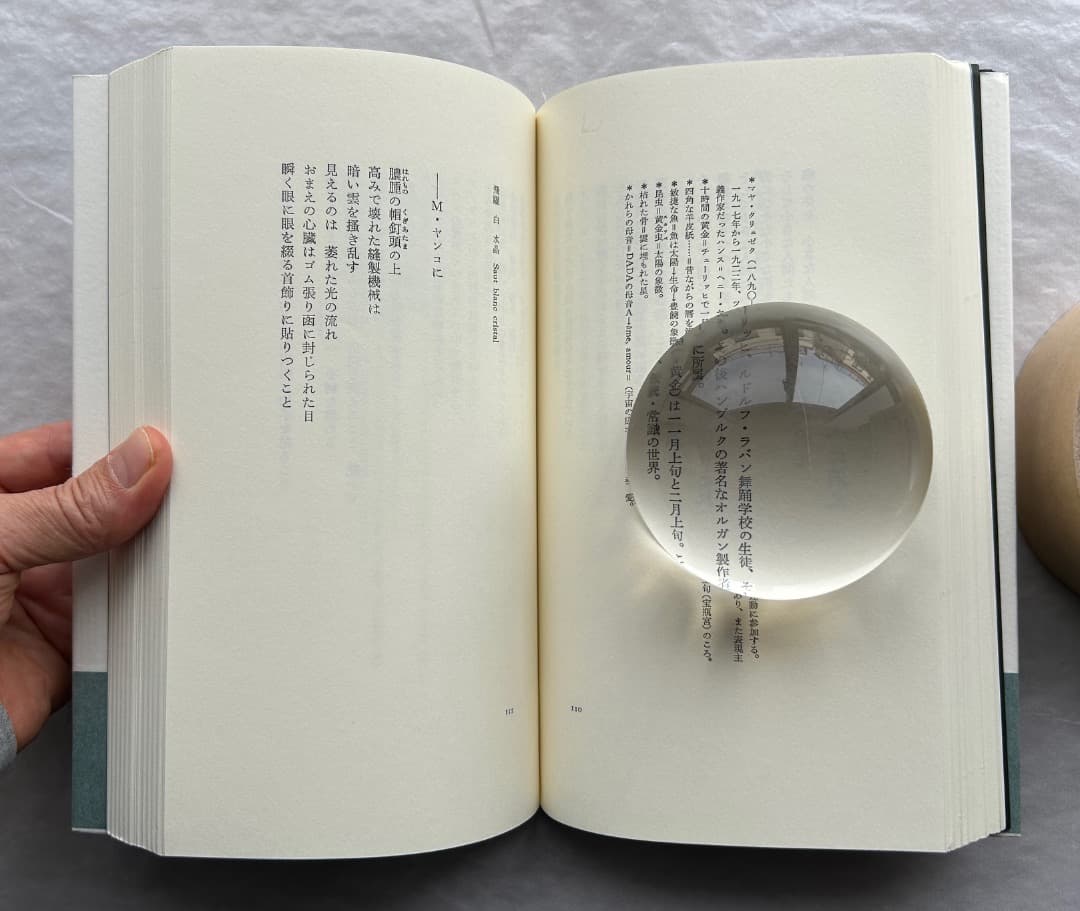 トリスタン・ツァラ『アンチピリン氏はじめて天空冒険ほか』、書肆山田、2001年。