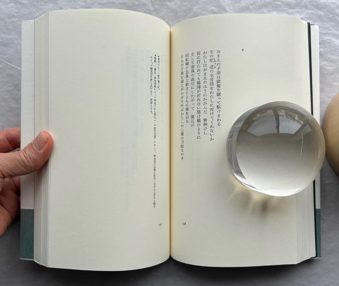 トリスタン・ツァラ『アンチピリン氏はじめて天空冒険ほか』、書肆山田、2001年。