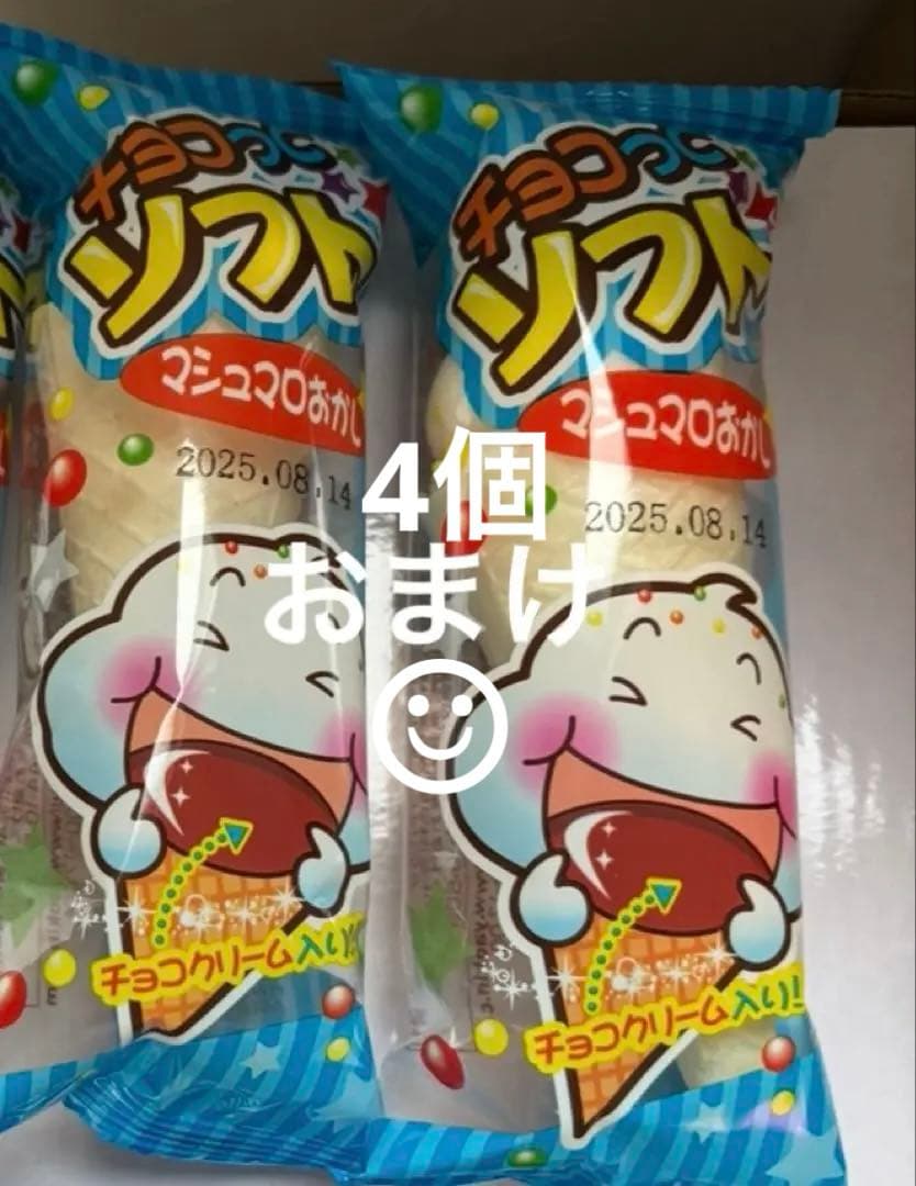 【新品未使用】2025年5月入手　Nintendo Switch Lite