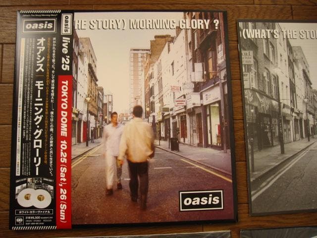 Oasis / モーニング・グローリー　完全生産限定盤　2LP　Vinyl