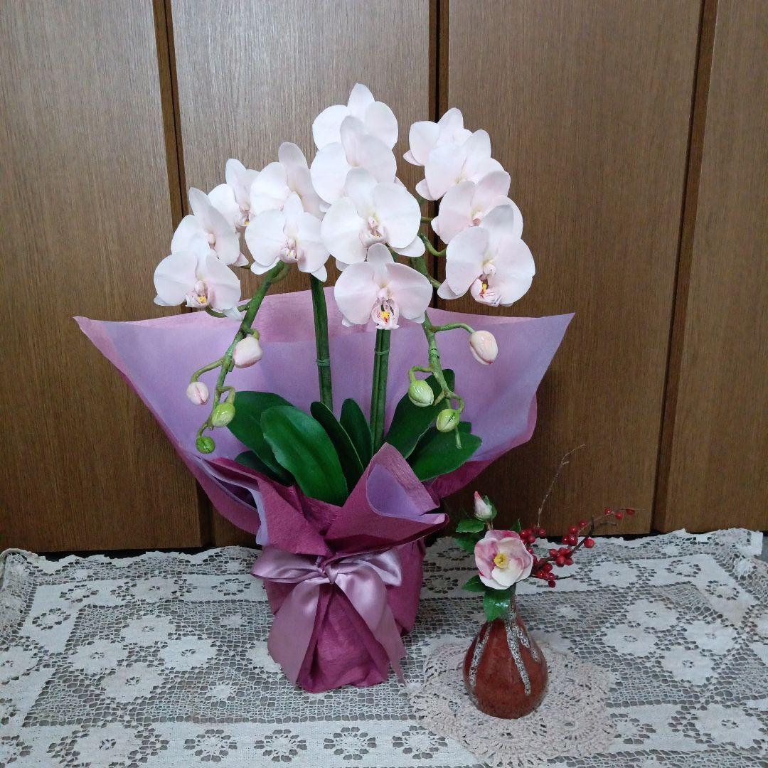 専用 淡いピンクの2本立ち胡蝶蘭 山茶花アレンジ クレイフラワー