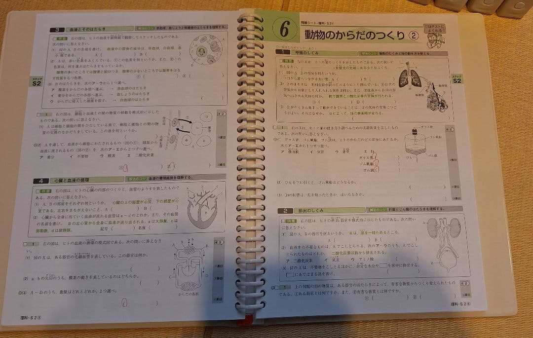 ファーストマニュアルA