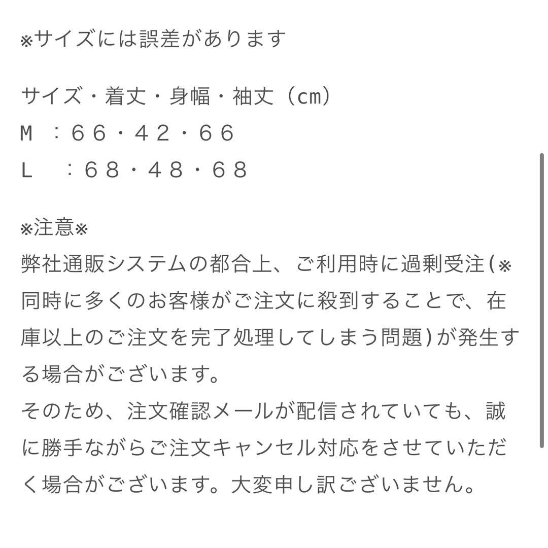 valladサーマルV.HENRY NECK L/S IO着用