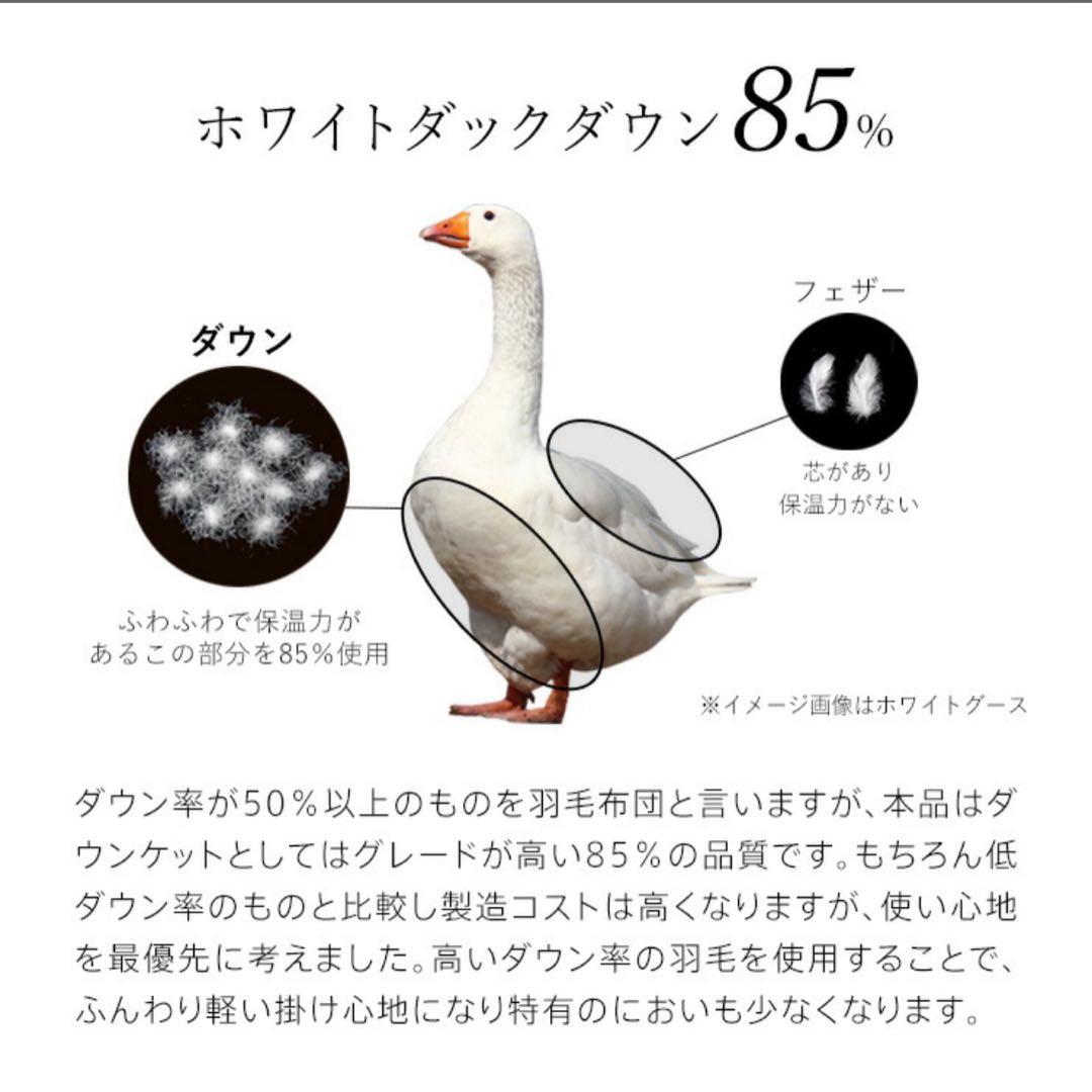 【2枚組】羽毛肌掛け布団 ダウンケット 薄掛け