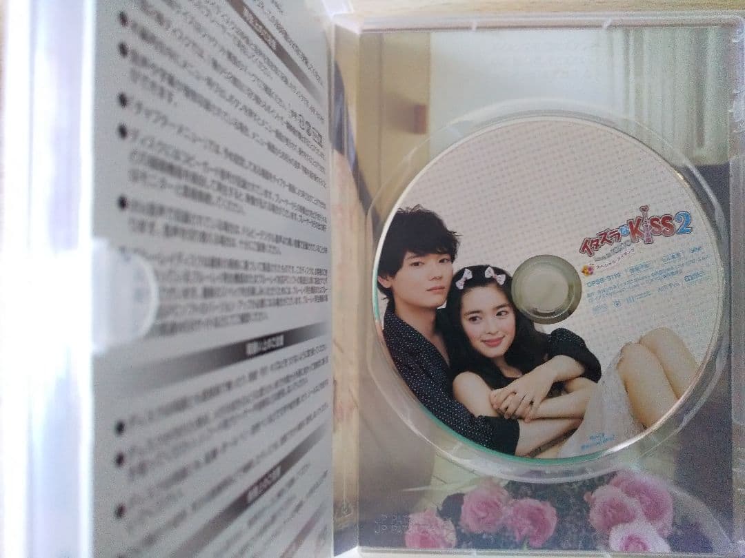 イタズラなKiss Love in TOKYO DVD 全巻セット