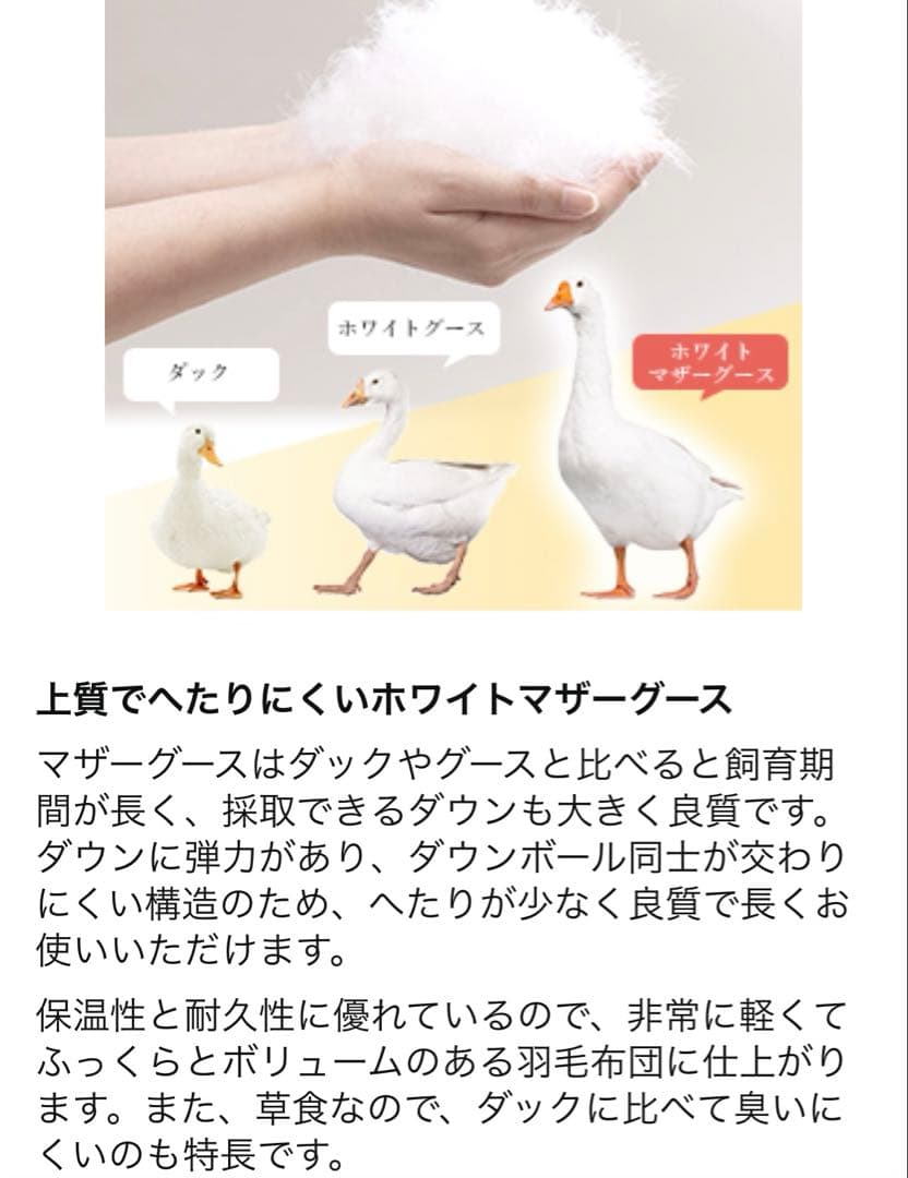 ポーランドプレミアムホワイトマザーグースダウン95%超長綿100%肌掛け羽毛布団