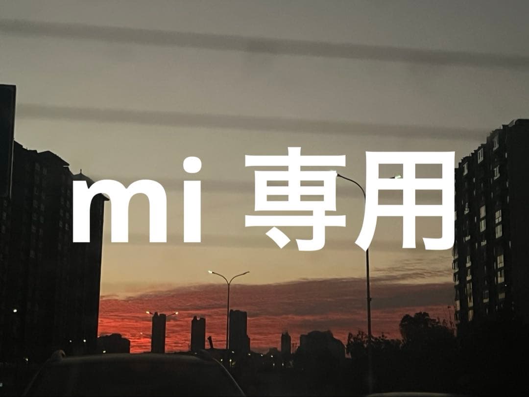 mi 専用2枚LL