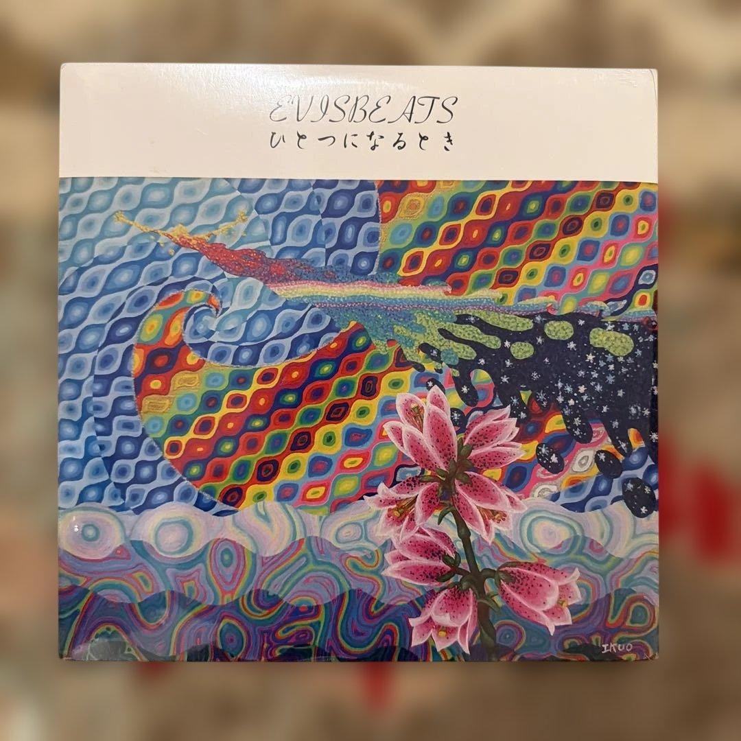 新品〔 Evisbeats ひとつになるとき 〕エビスビーツ LP