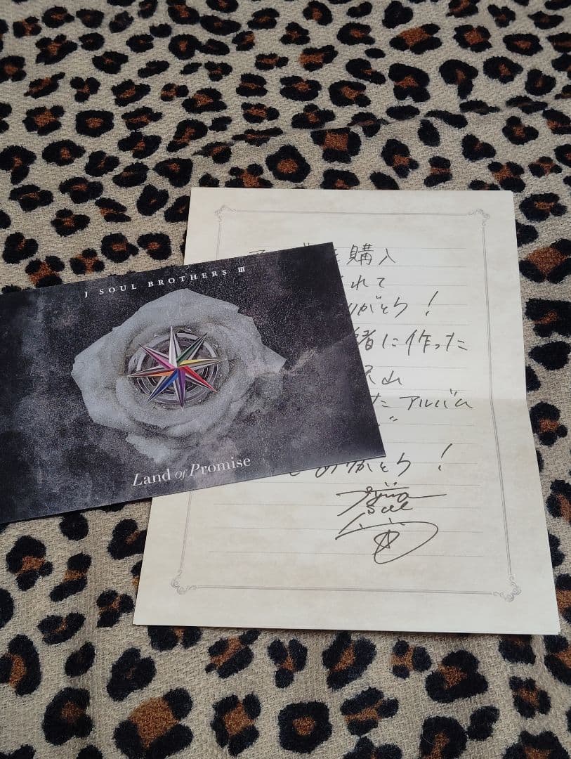 Land of Promise MATE盤