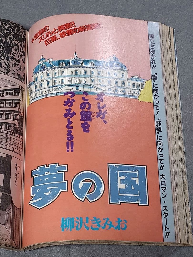 ヤングアニマル1992年創刊号『ジャパン』表紙&巻頭カラー/三浦建太郎/武論尊