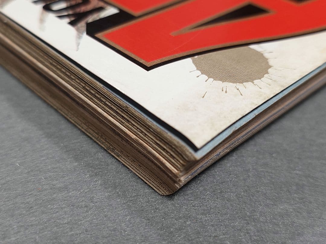 ヤングアニマル1992年創刊号『ジャパン』表紙&巻頭カラー/三浦建太郎/武論尊