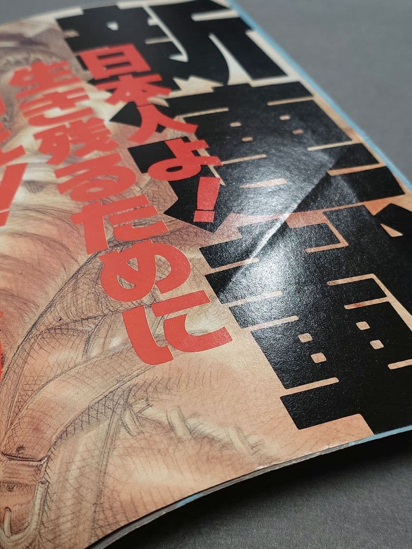 ヤングアニマル1992年創刊号『ジャパン』表紙&巻頭カラー/三浦建太郎/武論尊