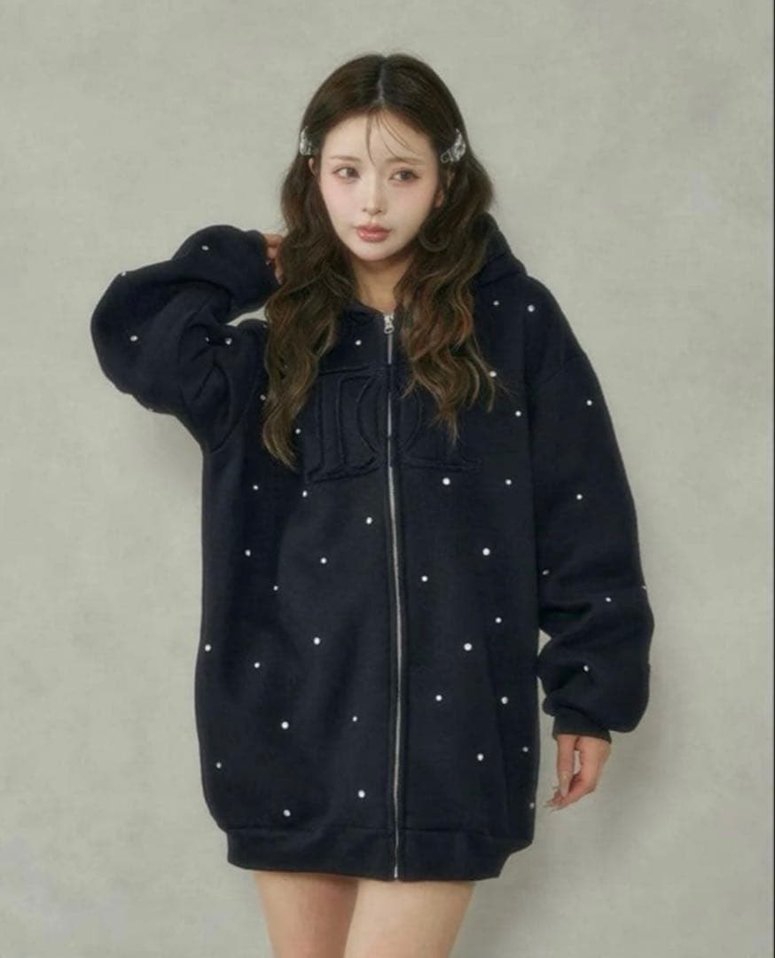 Darich DDロゴビジュージップパーカー ブラック　新品