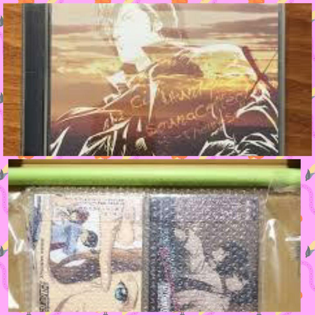 サービス商品説明参照 CITY HUNTER DVDBOX〈完全予約生産限定