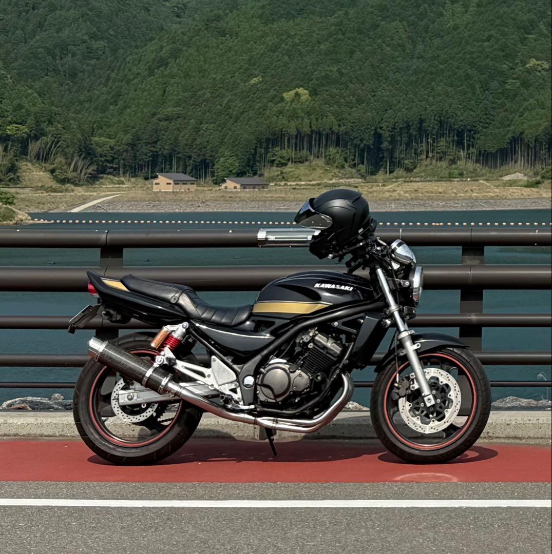 WR'S EX+デルケビック カーボンマフラー サイレンサー ZR250B