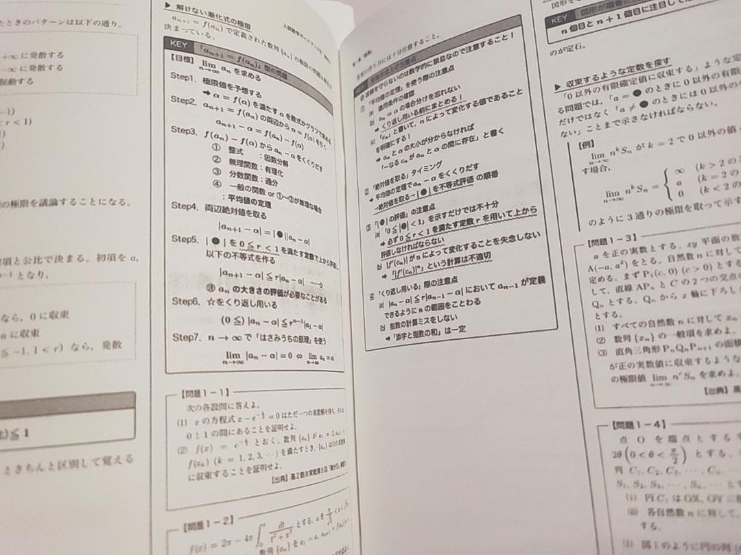 鉄緑会の中前先生高3数学SA入試数学ガイドブック数学ⅠAⅡBⅢ通期　河合塾 駿台