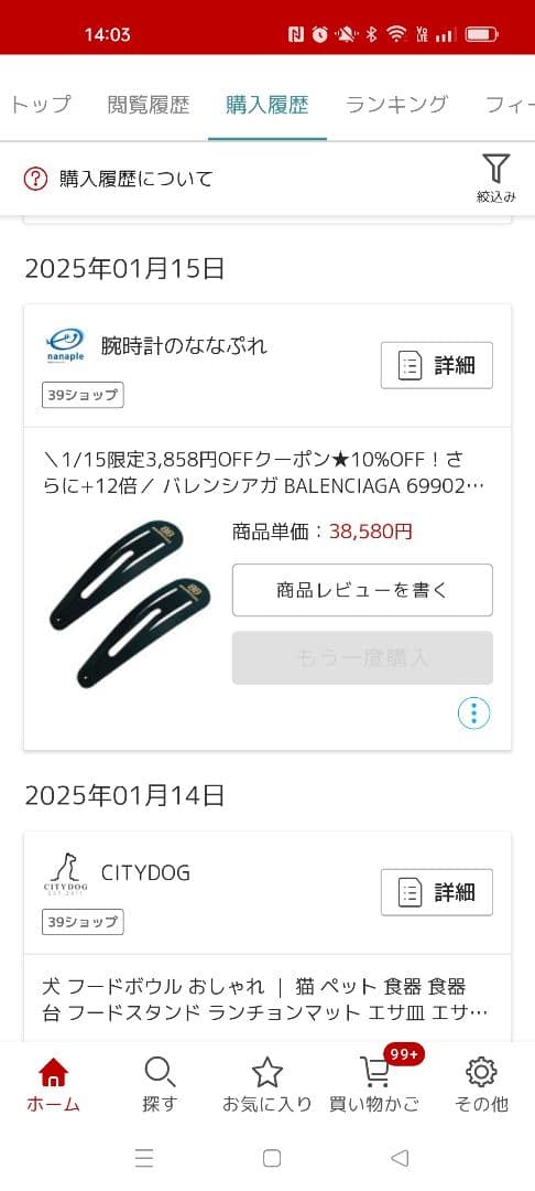 専用 バレンシアガ ヘアピン バラ売りもok