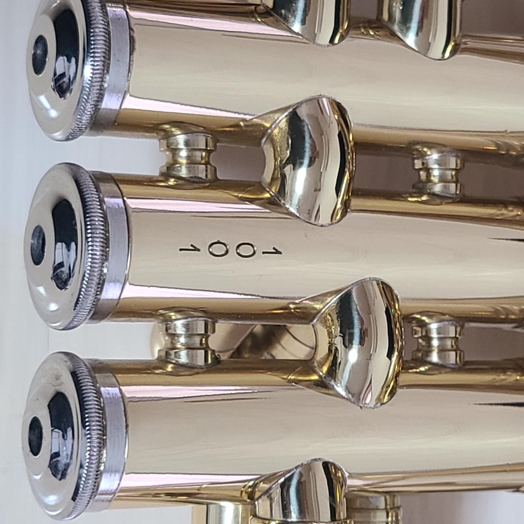 selection STP-30V トランペット ハードケース付 付属品あり