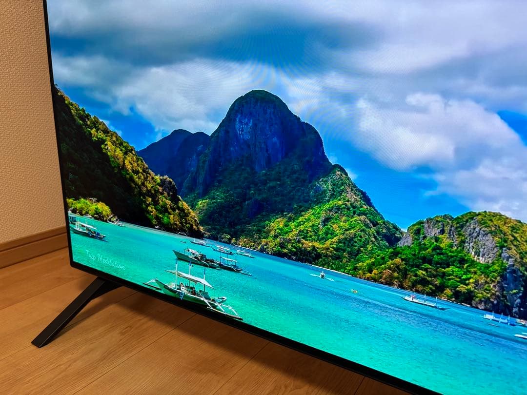 【美品】48V型 有機ELテレビ OLED48A1PJA