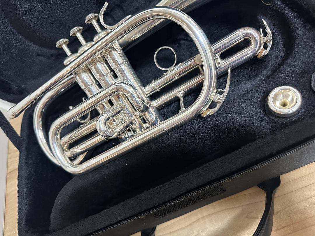 J.Michael コルネット