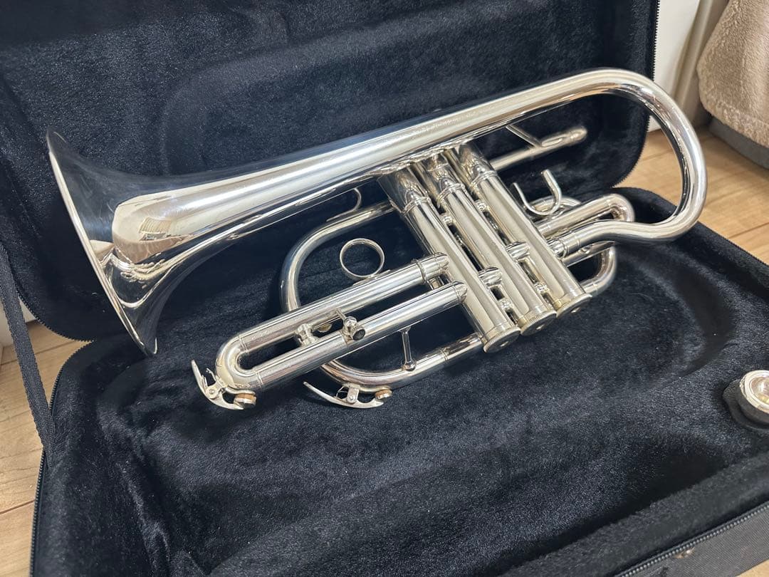 J.Michael コルネット