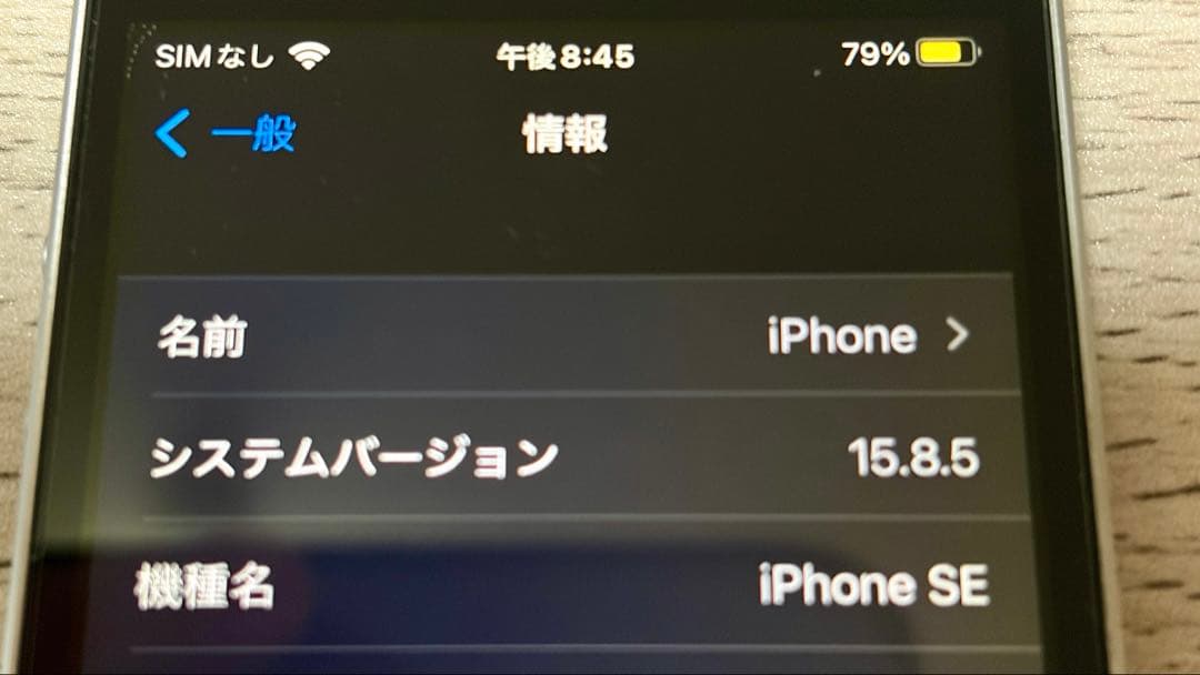 iPhone SE 第1世代 64GB 海外版｜カメラ無音｜バッテリー100％