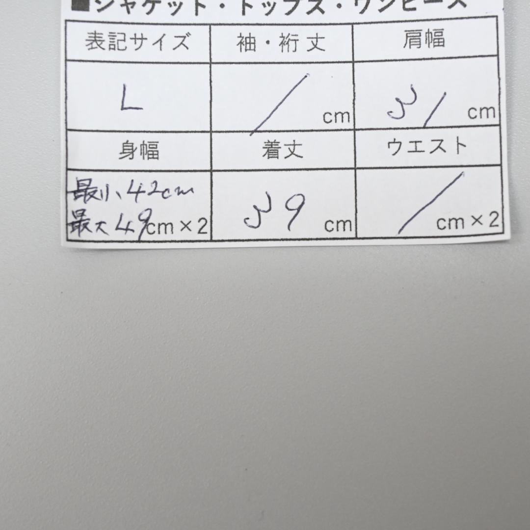 46234★年 ノースフェイス ベスト トレランリュック TRZERO