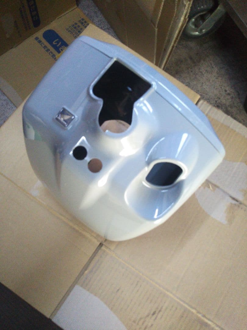 RUCKUSカウル ライトグレー ズーマーに。