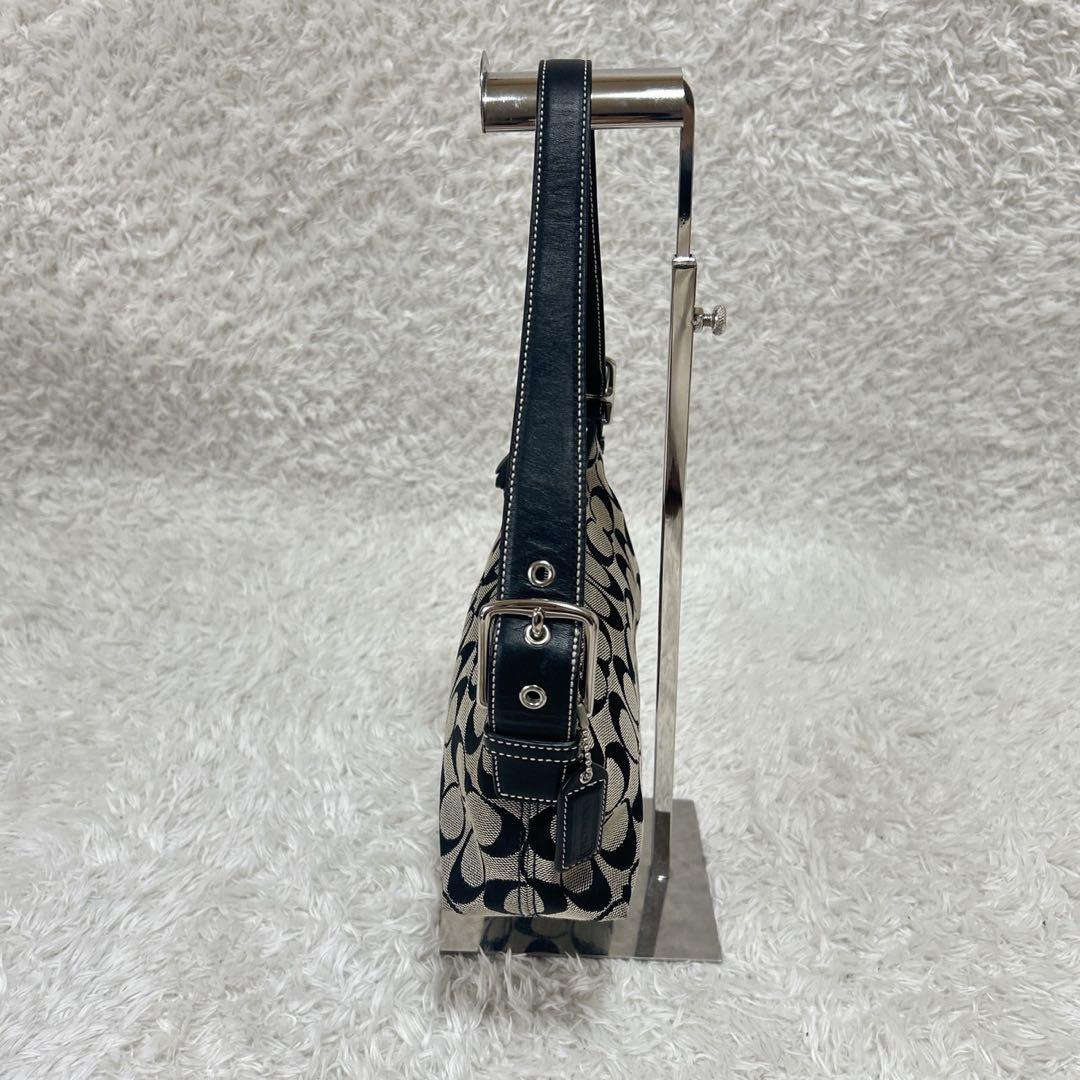 COACH アクセサリーポーチ ワンショルダー シグネチャー タッセル