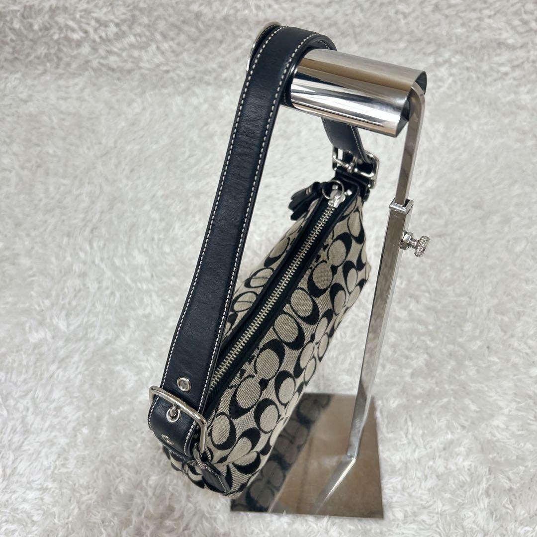 COACH アクセサリーポーチ ワンショルダー シグネチャー タッセル