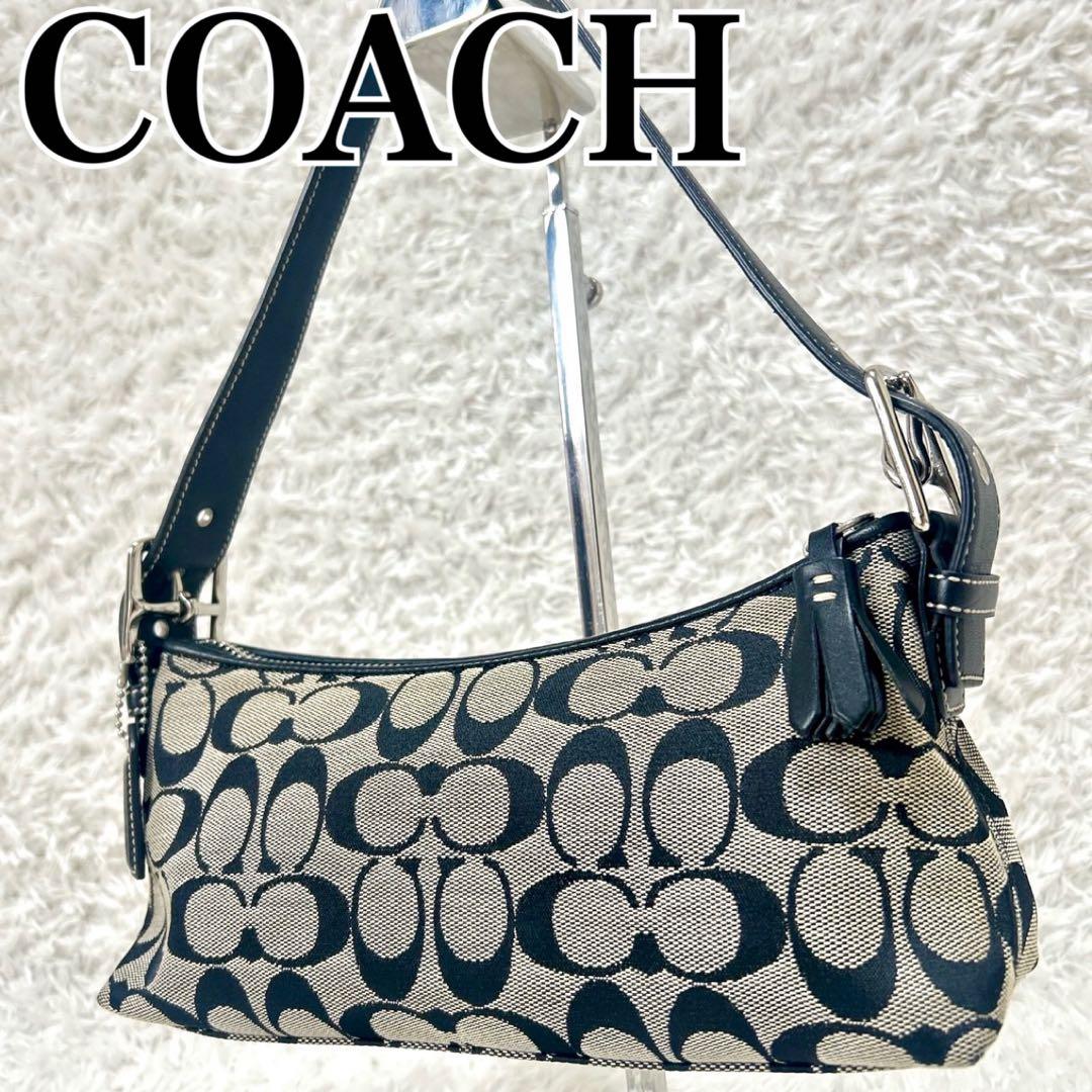COACH アクセサリーポーチ ワンショルダー シグネチャー タッセル