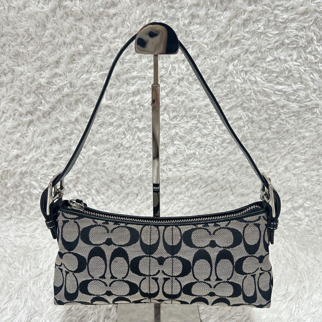 COACH アクセサリーポーチ ワンショルダー シグネチャー タッセル