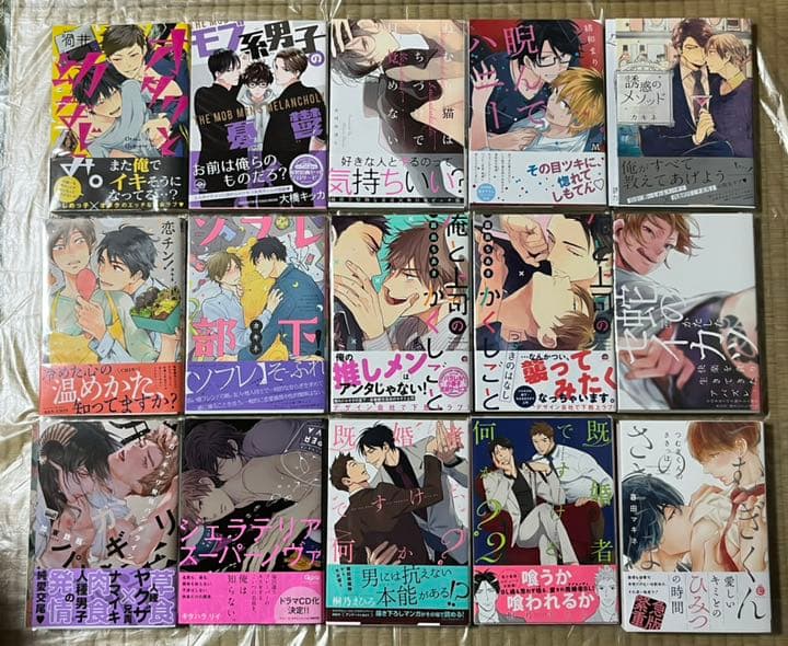 25 BL本まとめ売り　ボーイズラブコミックス　BOYS LOVE COMICS