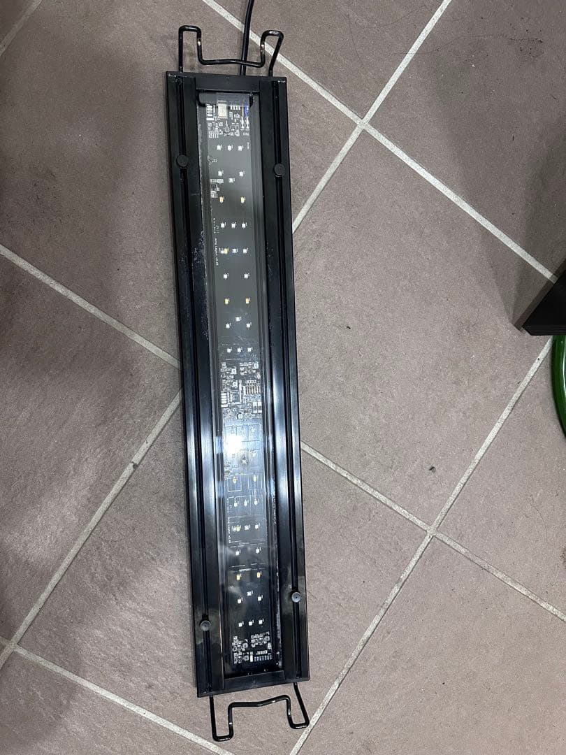 <海水魚・サンゴ即飼育>60cmガラス水槽　セット売り