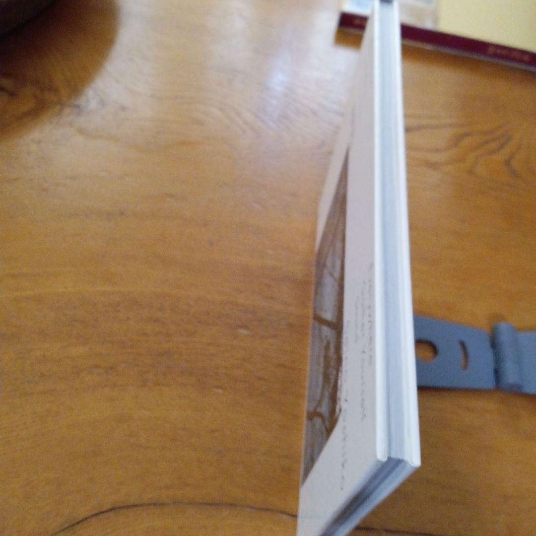 至るところで心を集めよ立っていよ 清野賀子 写真集