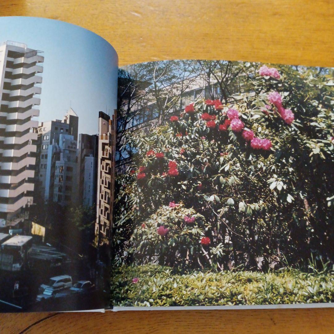 至るところで心を集めよ立っていよ 清野賀子 写真集