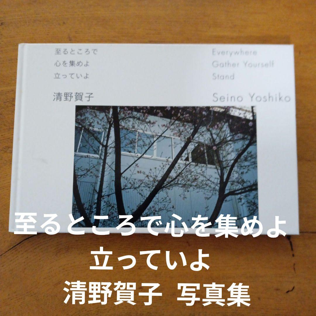至るところで心を集めよ立っていよ 清野賀子 写真集