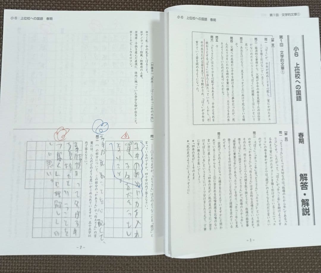 2024年 小6 春期講習会 早稲田アカデミー テキスト 上位校 早稲アカ