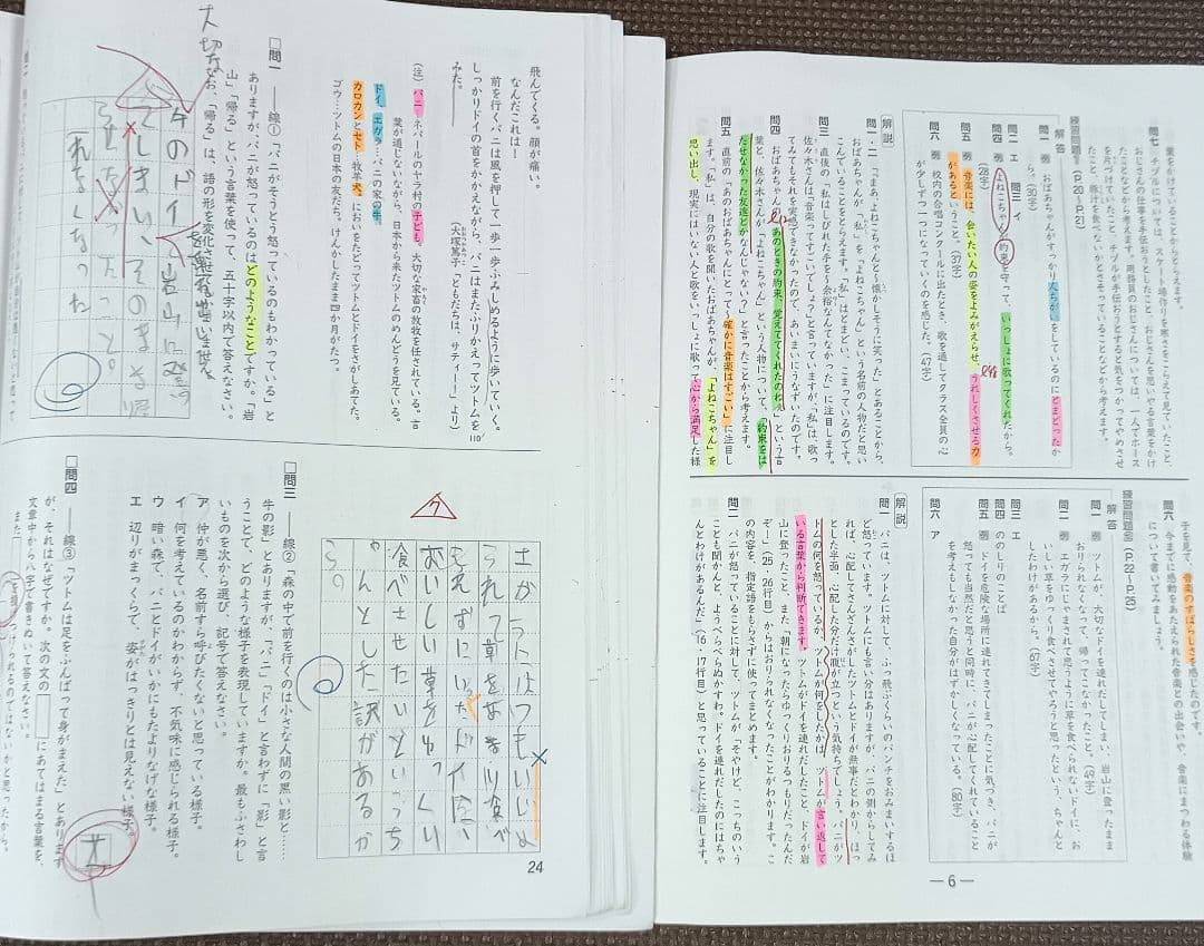2024年 小6 春期講習会 早稲田アカデミー テキスト 上位校 早稲アカ