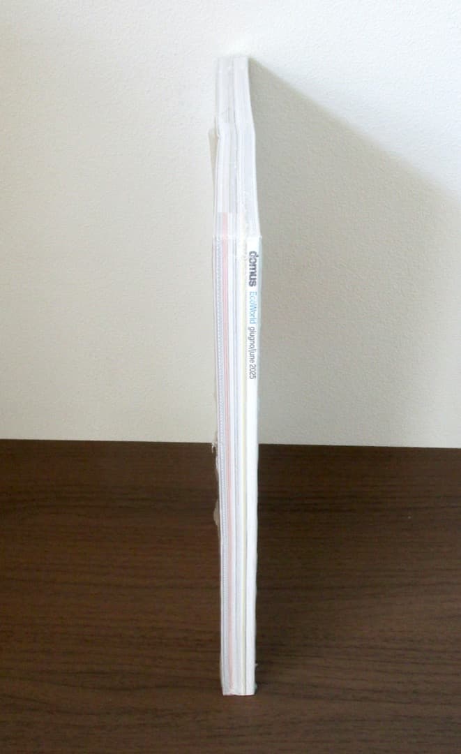 domus 1102 june (2025年6月号) 【特集 : wood】