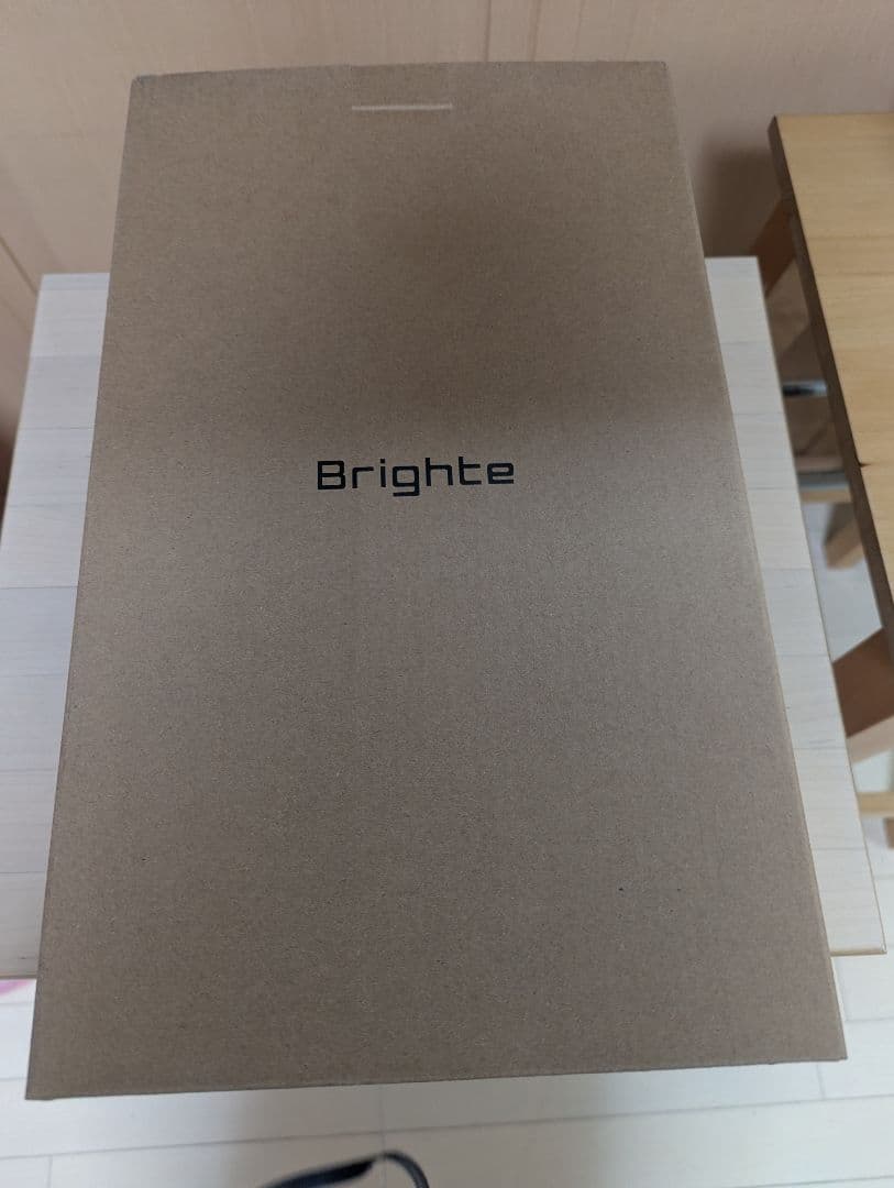 Brighte SHOWER DRYER　シャワードライヤーほぼ新品ヘアアイロン